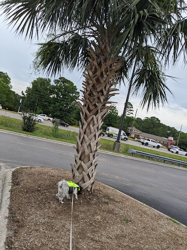Pet Supply Store «PetSmart», reviews and photos, 5226 S College Rd, Wilmington, NC 28412, USA