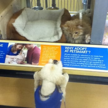 Pet Supply Store «PetSmart», reviews and photos, 144 Retail Commons Pkwy, Martinsburg, WV 25403, USA
