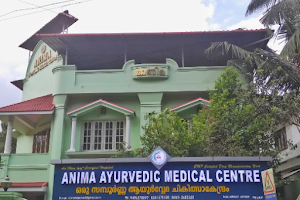 Anima Ayurvedic Medical Centre | Mallappally Pathanamthitta Kerala image