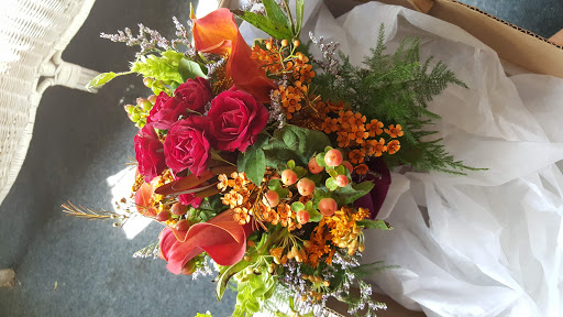 Florist «Indoor Jungle», reviews and photos, 14 Plank Rd, Newburgh, NY 12550, USA