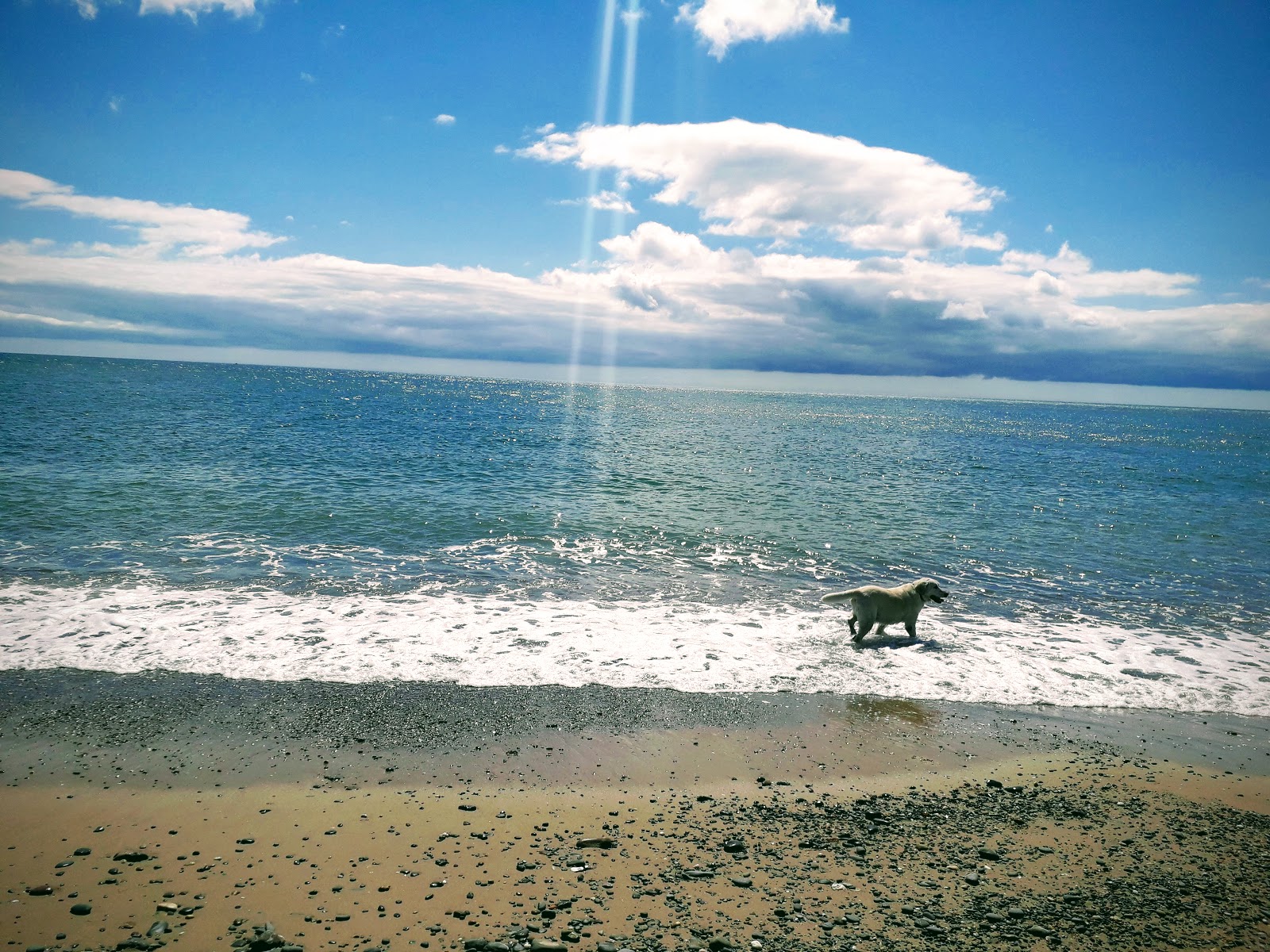 Kiltennel Beach'in fotoğrafı - rahatlamayı sevenler arasında popüler bir yer