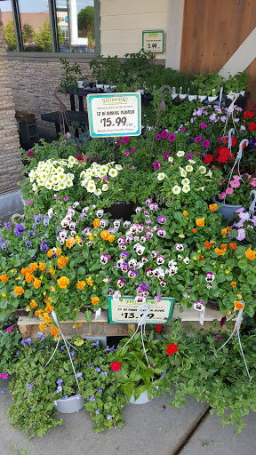 Grocery Store «Fresh Thyme Farmers Market - Kirkwood MO», reviews and photos, 1018 N Kirkwood Rd, Kirkwood, MO 63122, USA