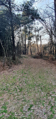 Forêt de Loudéac - Croisée des Prés de Rivières à La Motte