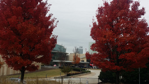 Tourist Attraction «World of Coca-Cola», reviews and photos, 121 Baker St NW, Atlanta, GA 30313, USA