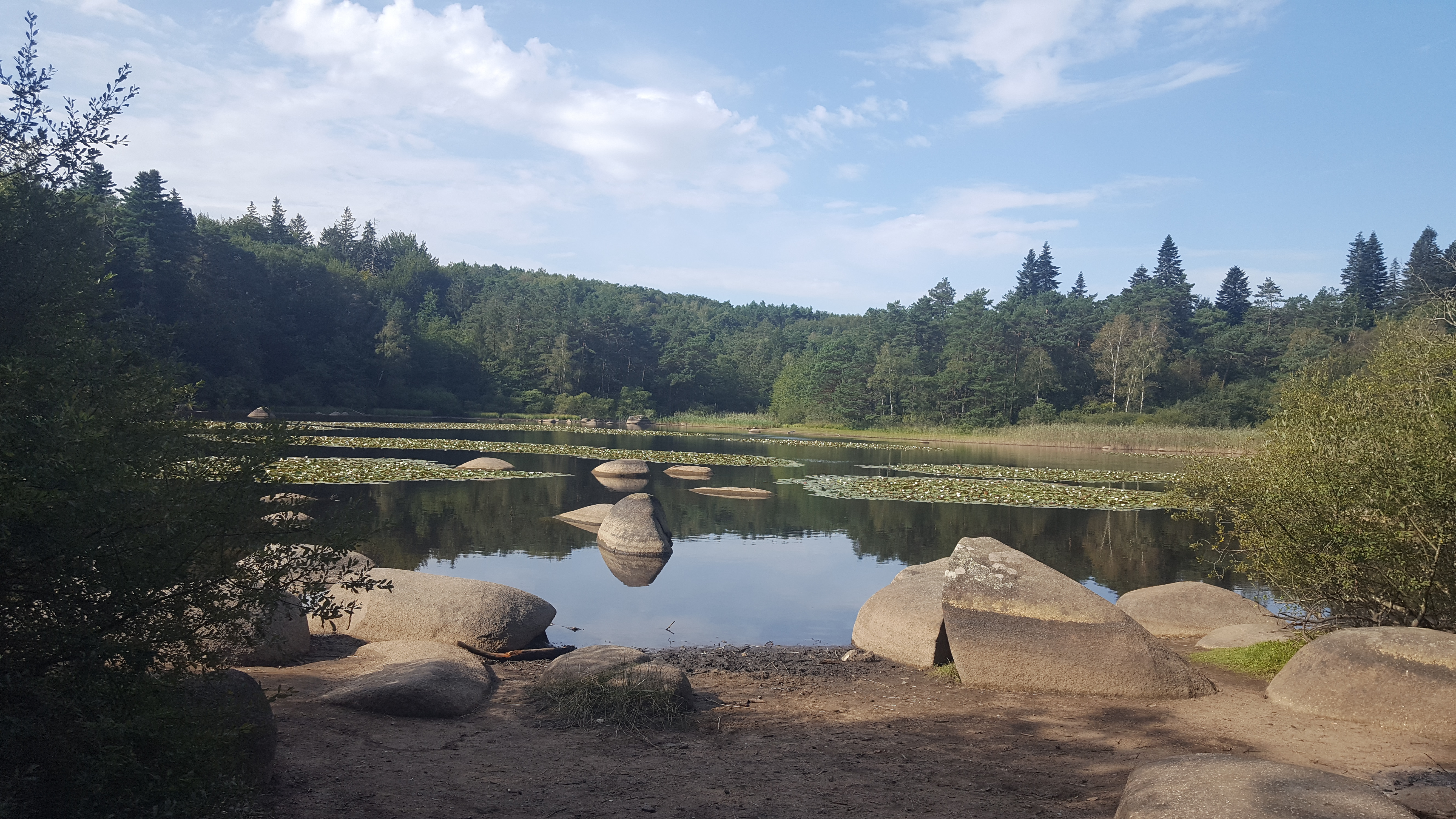 Photo n° 2 de l'avis de Domingo.a fait le 04/09/2018 à 11:14