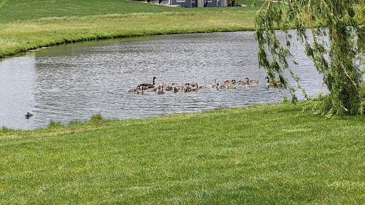 Public Golf Course «Otter Creek Golf Course», reviews and photos, 4100 NE Otter Creek Drive, Ankeny, IA 50021, USA