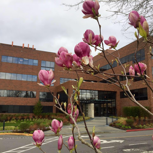 Mortgage Lender «Brett Burns - NMLS# 320423», reviews and photos