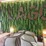 Photo n°2 de l'avis de Sofia.a fait le 30/06/2021 à 07:32 sur le  Lago à Santa Maria da Feira