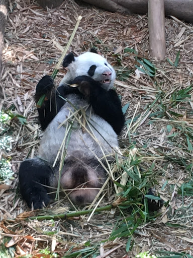 Coffee Shop «Starbucks Coffee», reviews and photos, 8151 Pat Booker Rd, Live Oak, TX 78233, USA