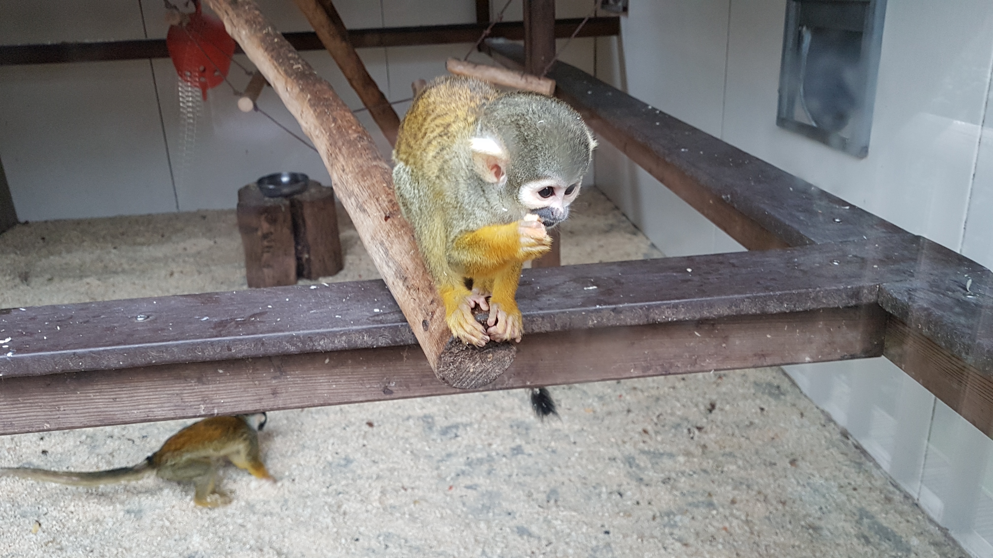 Photo n° 6 de l'avis de PA.A fait le 09/03/2019 à 12:19