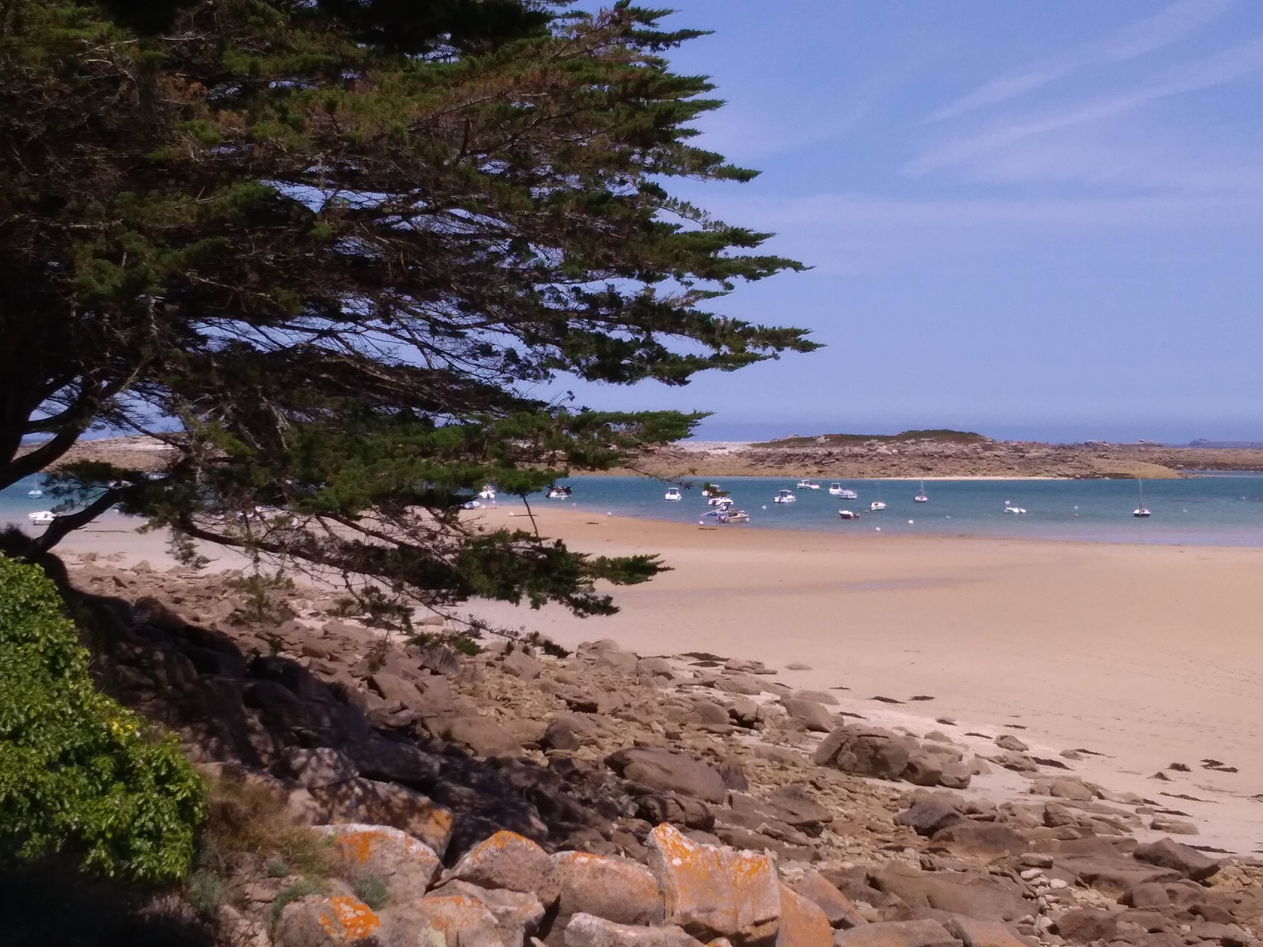 Photo n° 7 de l'avis de Francois.u fait le 26/07/2019 à 16:45