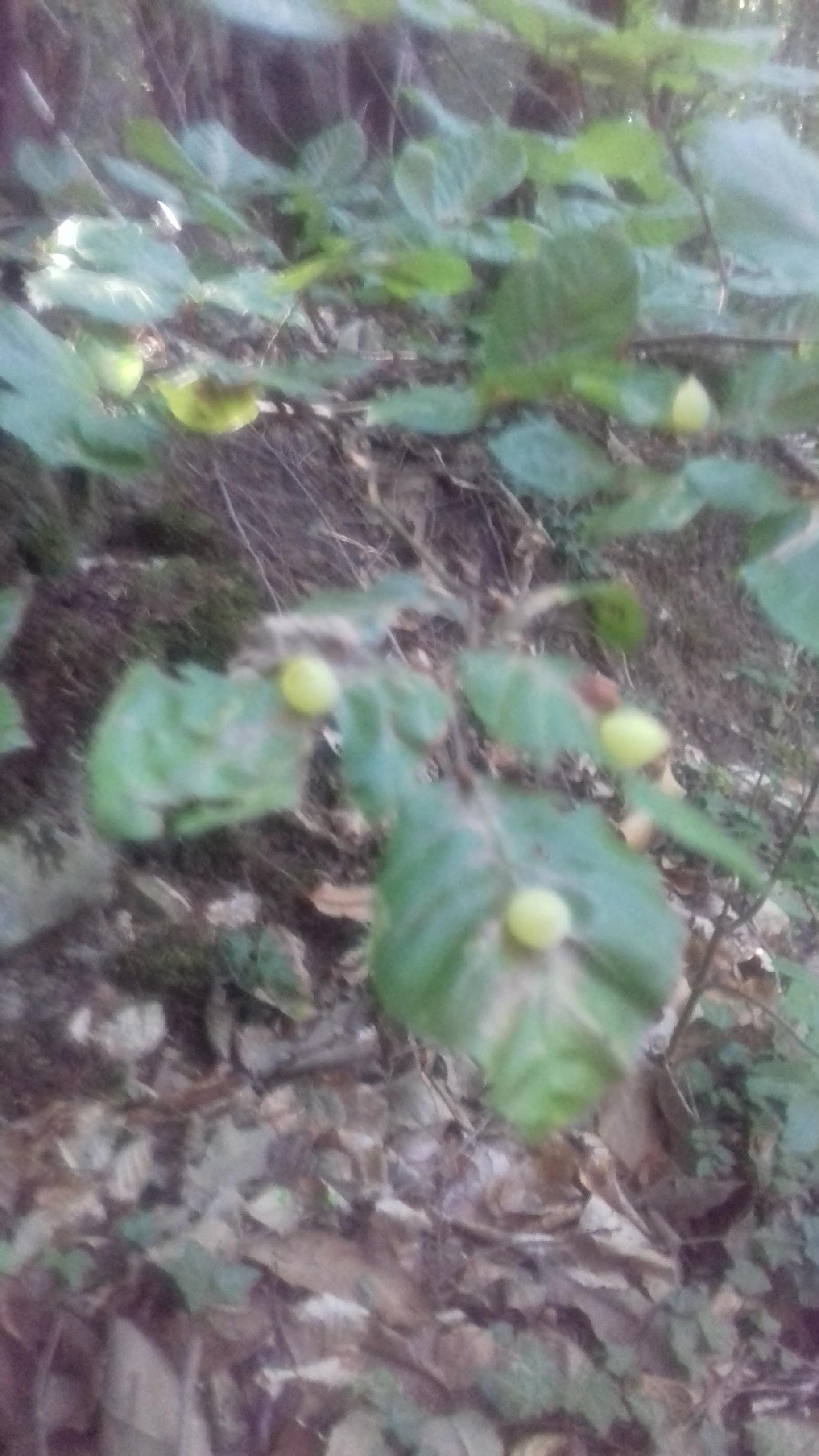 Photo n° 12 de l'avis de Isabelle.u fait le 29/09/2019 à 00:38