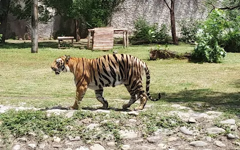Chhatbir Zoo Aquatic Santuary image