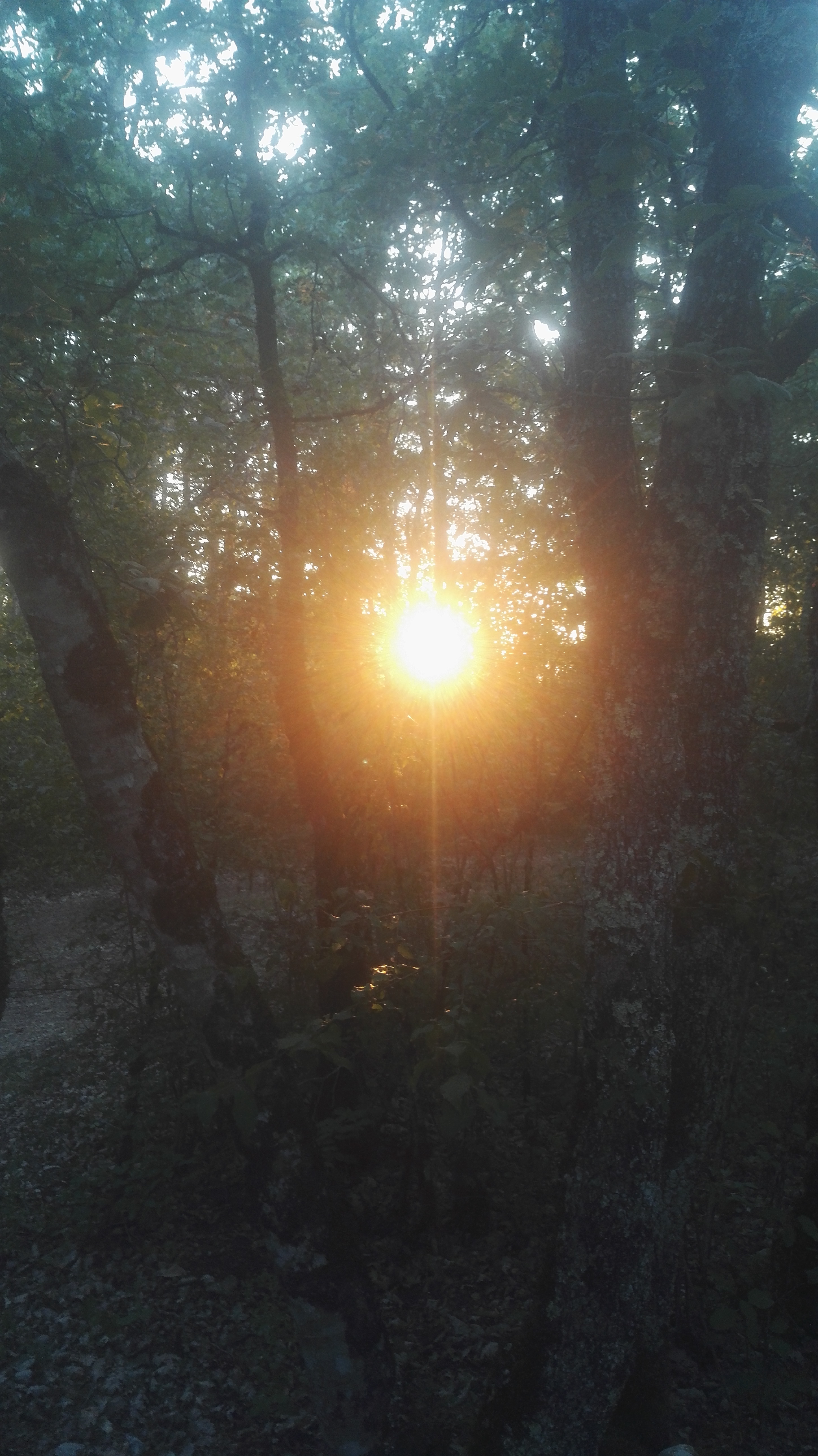 Photo n° 10 de l'avis de Elie.d fait le 15/07/2019 à 19:32