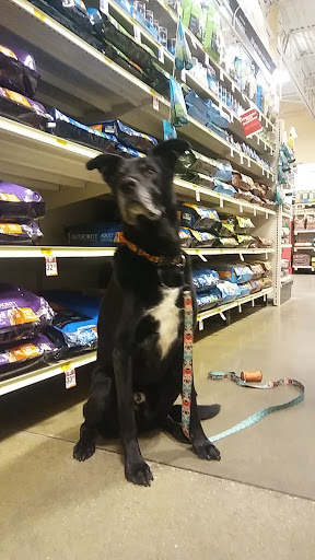 Pet Supply Store «PetSmart», reviews and photos, 9041 Snowden Square Dr, Columbia, MD 21045, USA