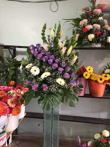 floreria Iris – Sombrerete