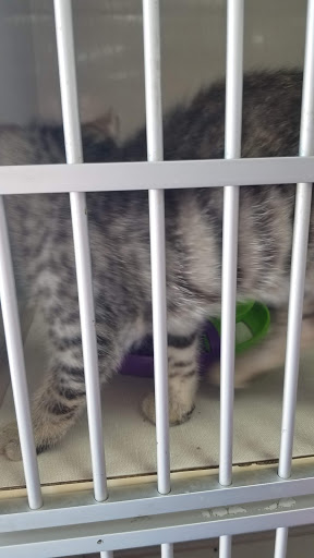 Pet Store «V.I. Pets», reviews and photos, 11975 E Lakewood Blvd, Holland, MI 49424, USA