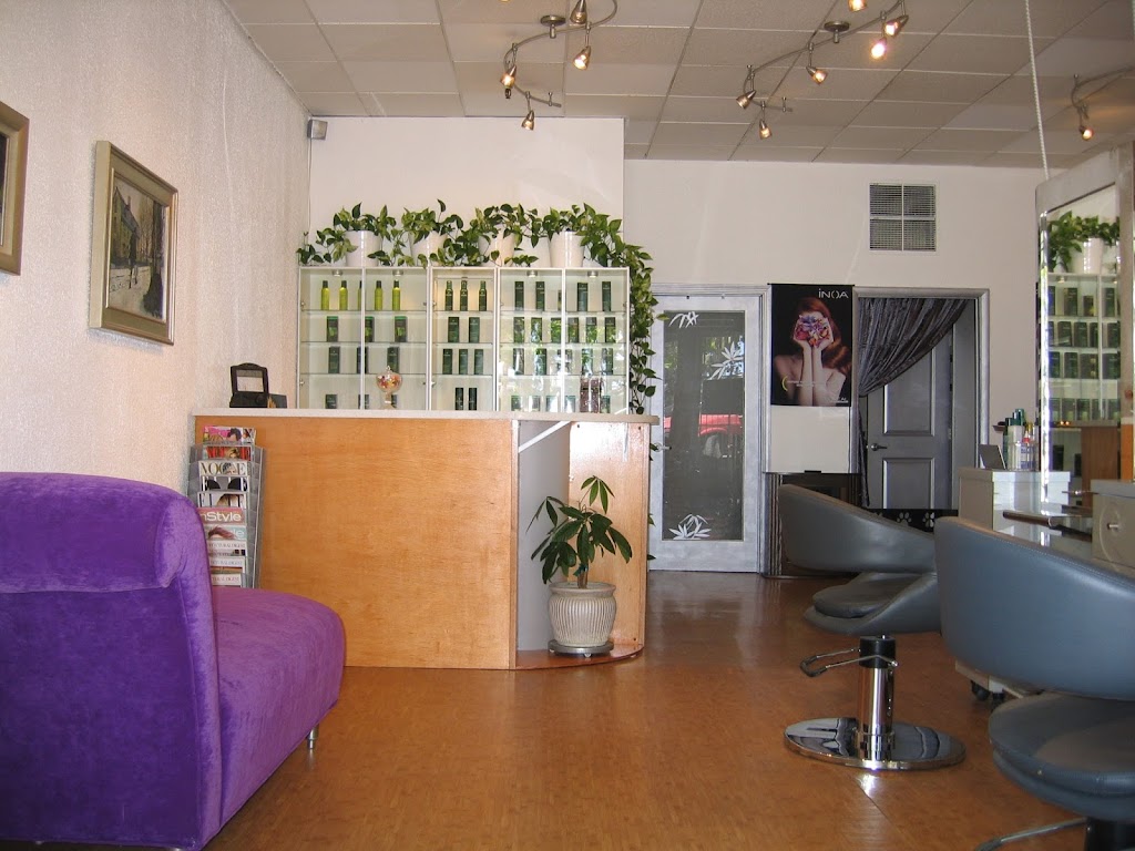 Salon 3001 94965