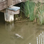 Photo n°13 de l'avis de Gaby.e fait le 10/11/2020 à 07:56 sur le  Schloß Schöningen à Schöningen