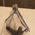 Photo n°4 de l'avis de Denny.' fait le 20/08/2020 à 16:05 sur le  Hotel Krone à Bruneck