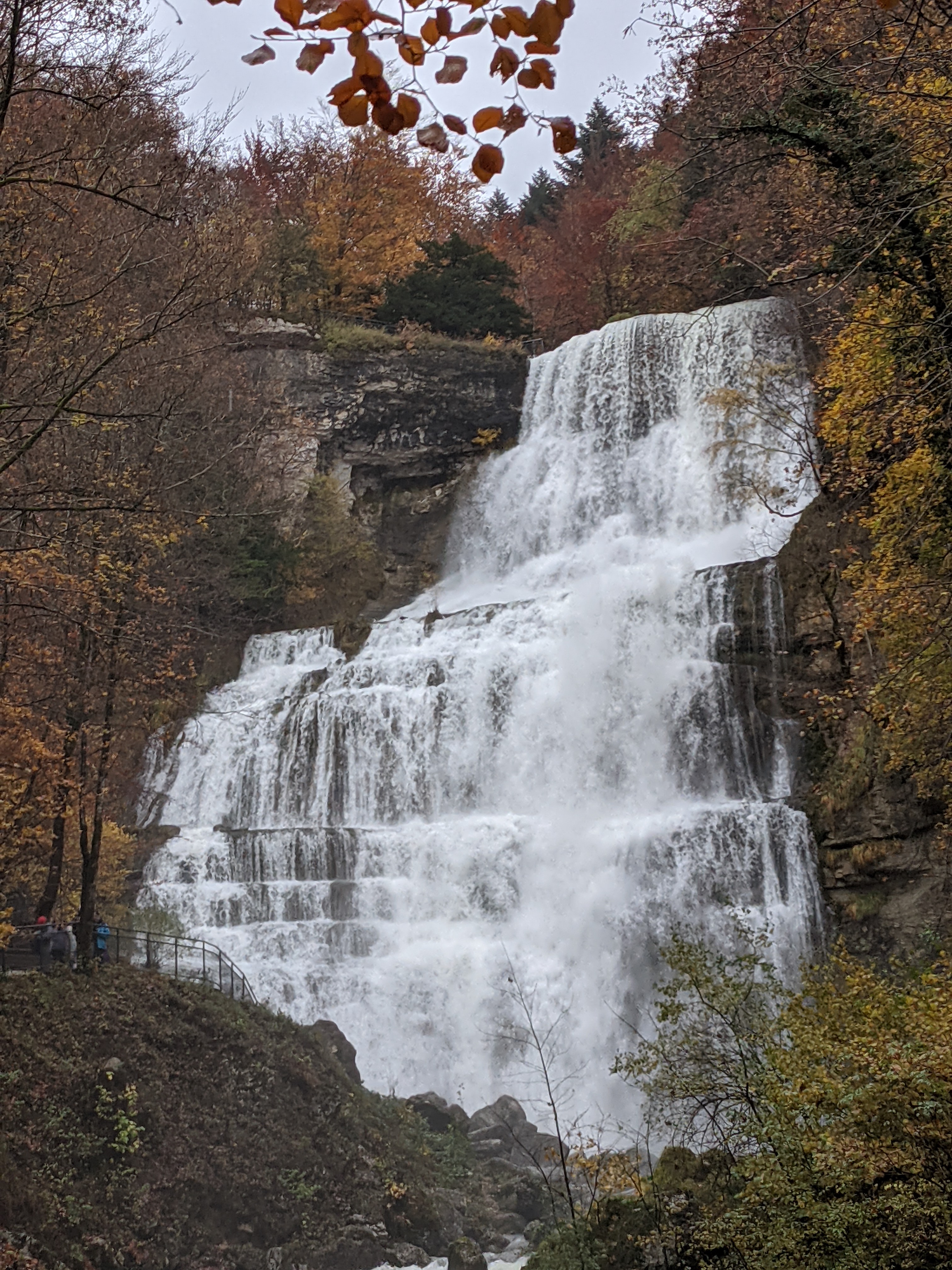 Photo n° 2 de l'avis de Éole.i fait le 12/11/2020 à 16:31