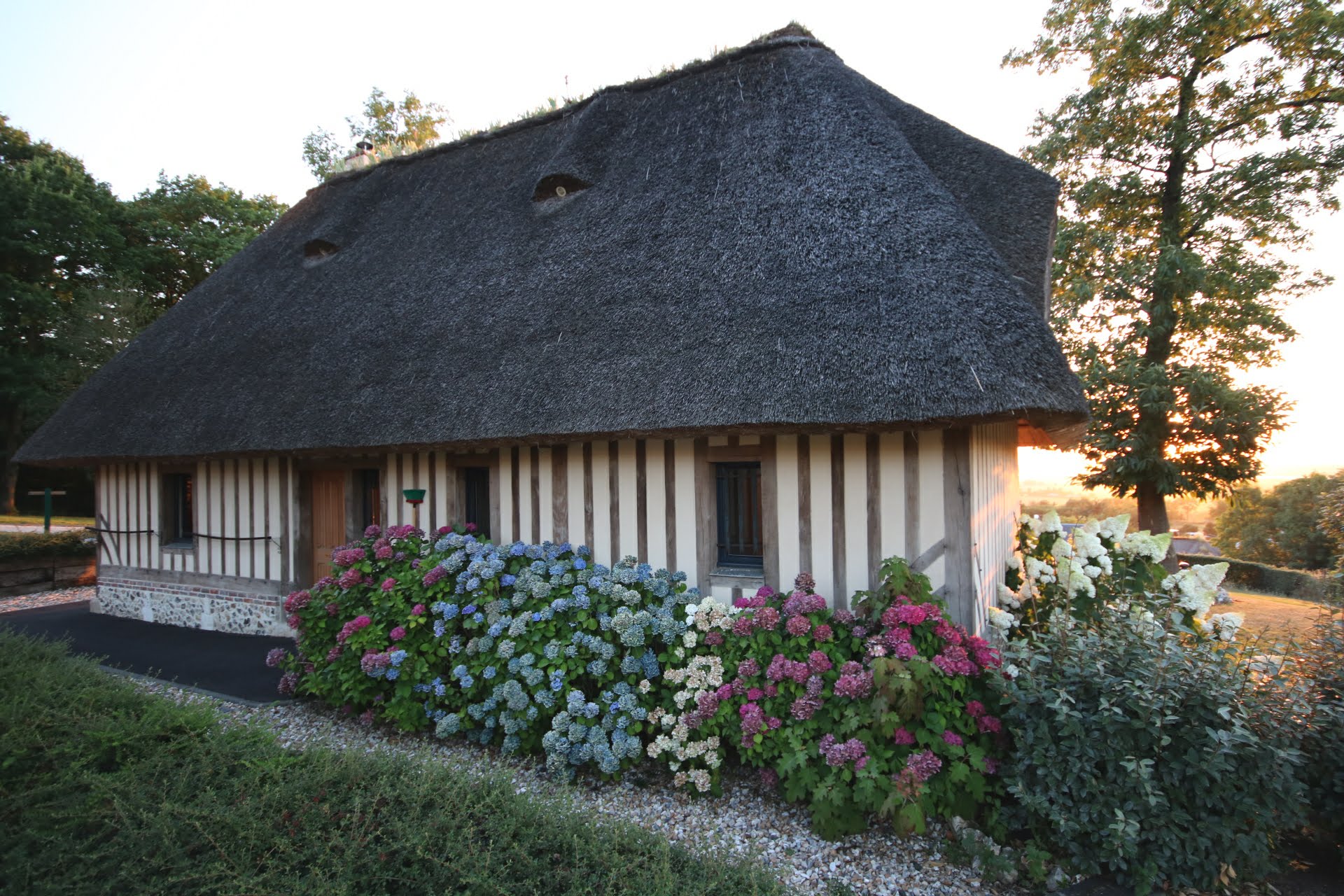 Photo n° 38 de l'avis de Rich. fait le 21/08/2018 à 18:53