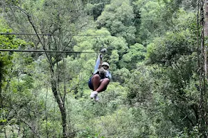 Drakensberg Canopy Tour image