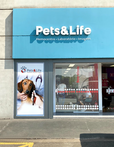 Logo da empresa - Pets&Life
