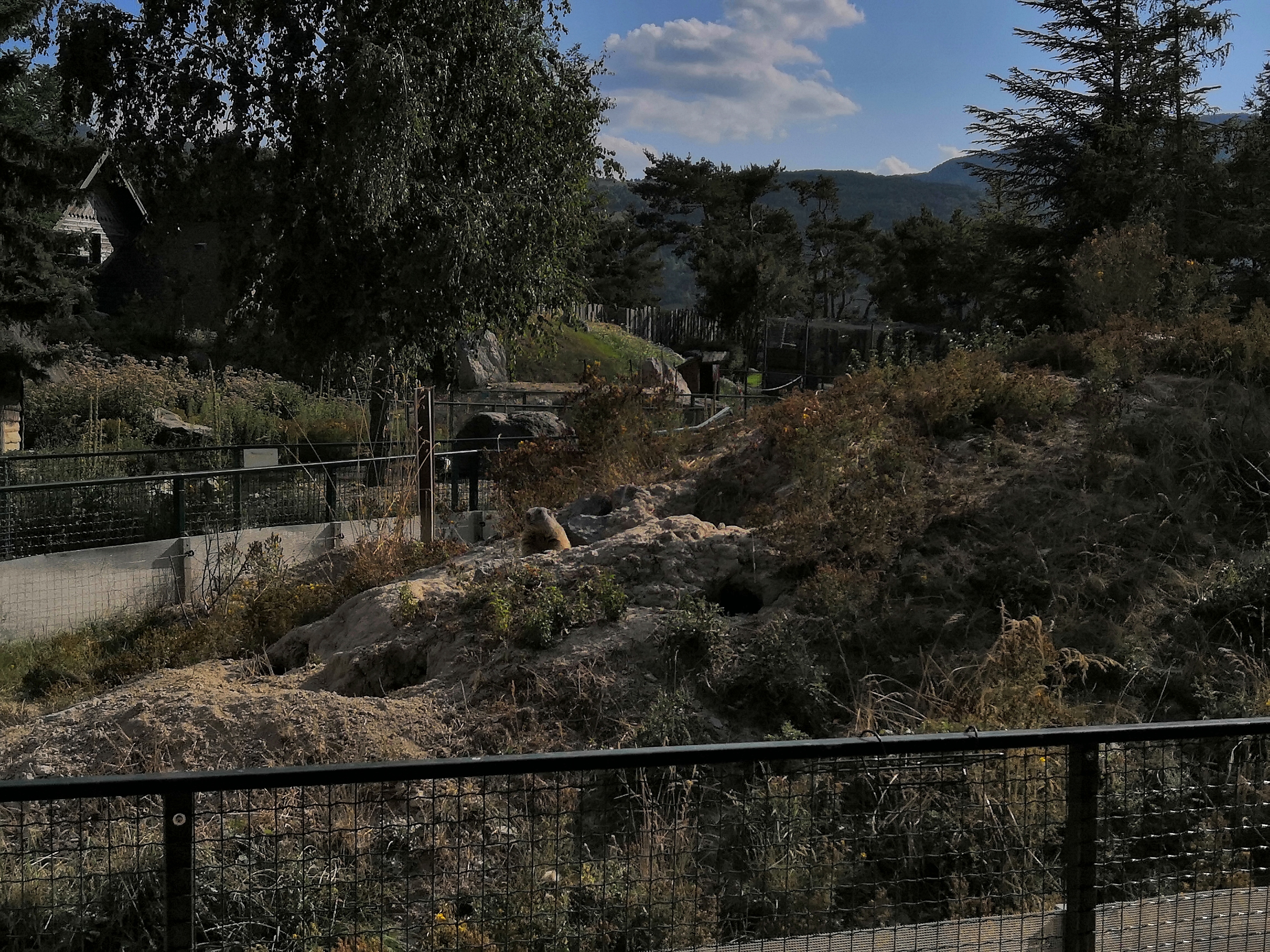 Photo n° 4 de l'avis de Gerard.e fait le 18/08/2019 à 15:29