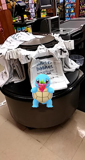 Grocery Store «Giant Food Stores», reviews and photos, 1241 Blakeslee Blvd Dr E, Lehighton, PA 18235, USA