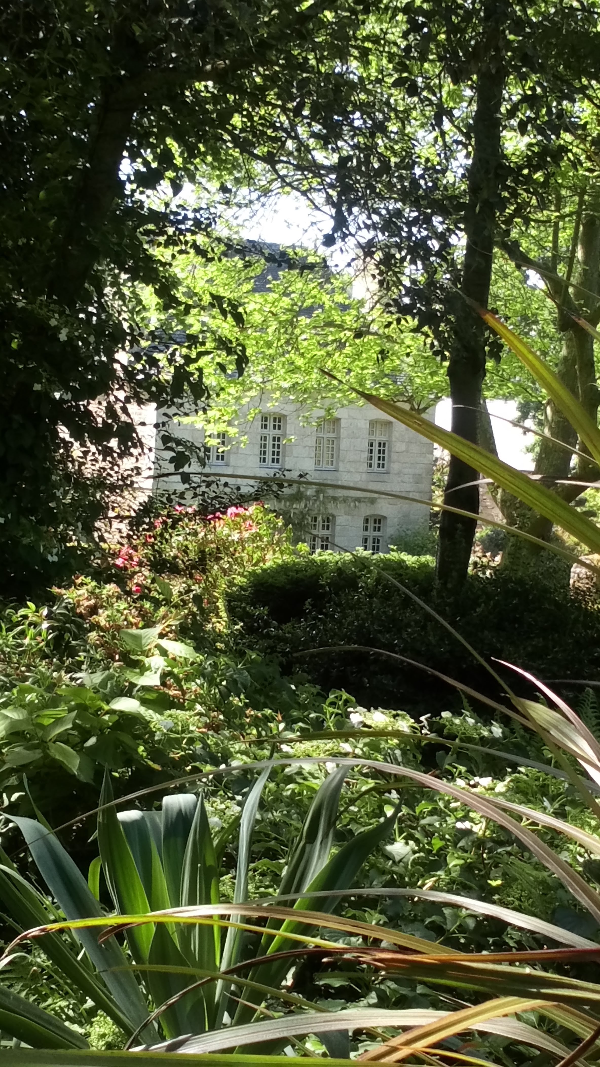 Photo n° 1 de l'avis de Michel.e fait le 21/05/2018 à 08:06
