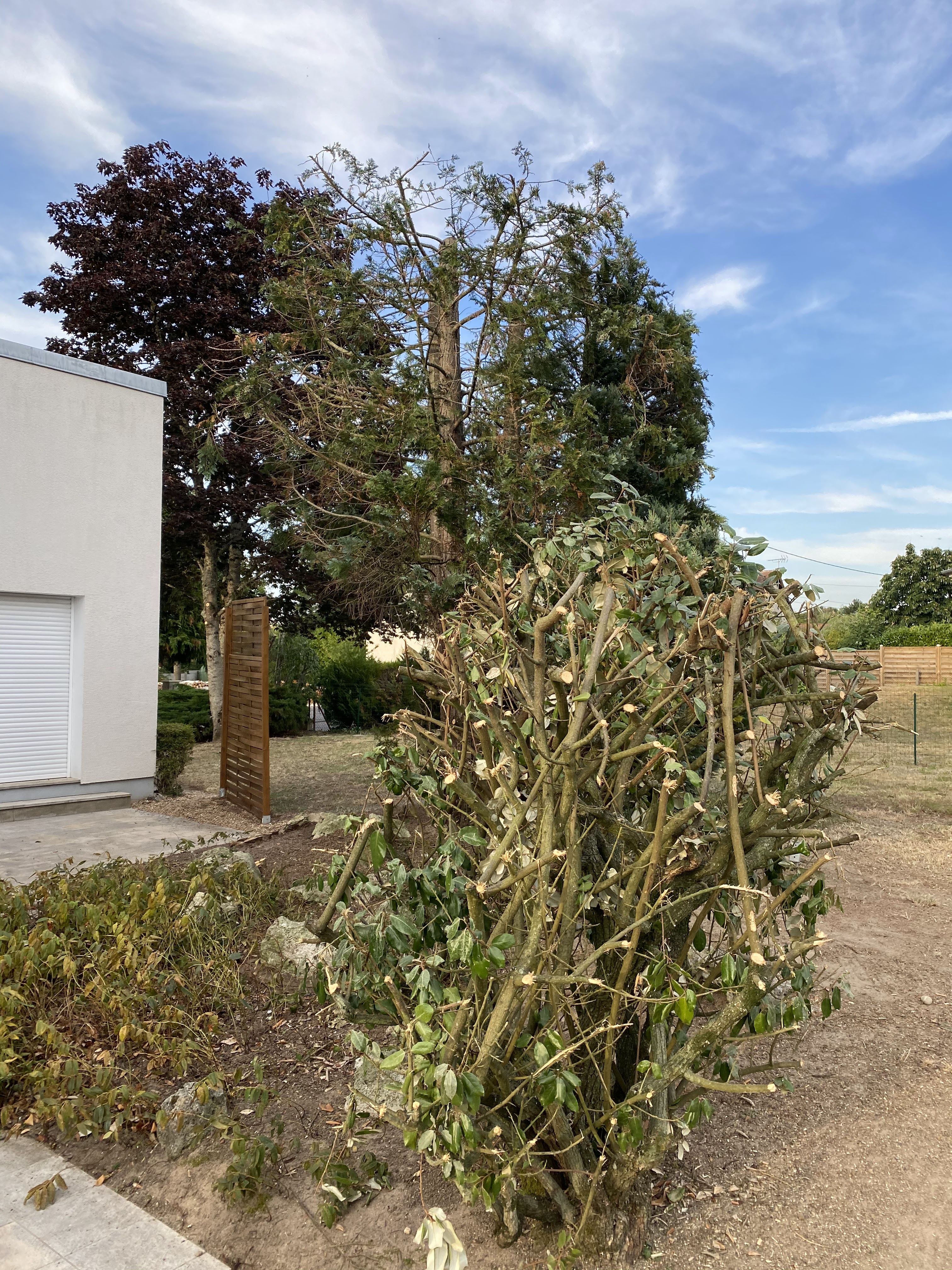 Photo n° 1 de l'avis de Alban.u fait le 13/07/2020 à 18:28
