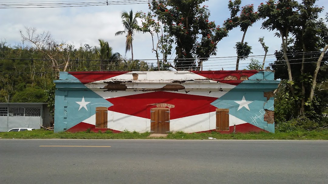 78 Pueblos y 1 Bandera en Caguas