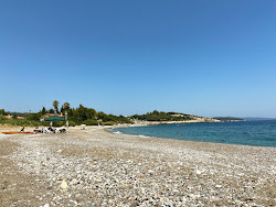 Foto di Agios Ioannis Beach zona selvaggia