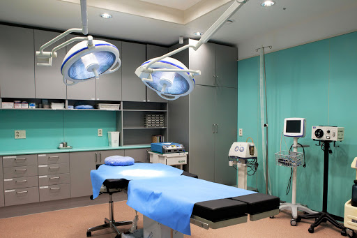 THE Plastic Surgery Clinic