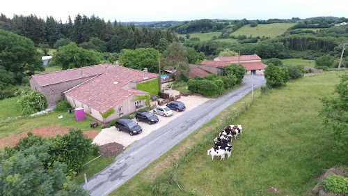 Gîtes Les Rainettes 