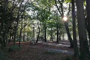 Higashifukai district park (ancient tomb park) image