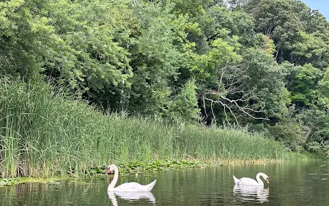 Humber Marshes image