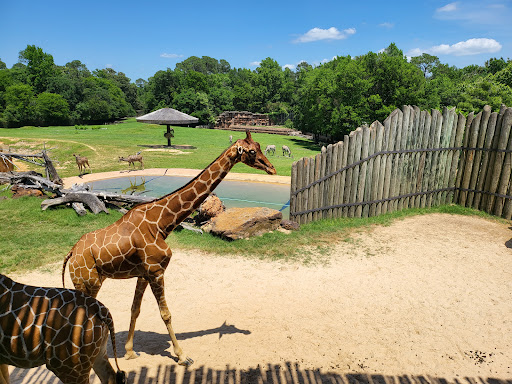 Zoo «Caldwell Zoo», reviews and photos, 2203 W Martin Luther King Jr Blvd, Tyler, TX 75702, USA
