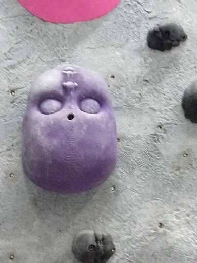 Rock Climbing Gym «Sportrock Climbing Centers», reviews and photos, 45935 Maries Rd, Sterling, VA 20166, USA