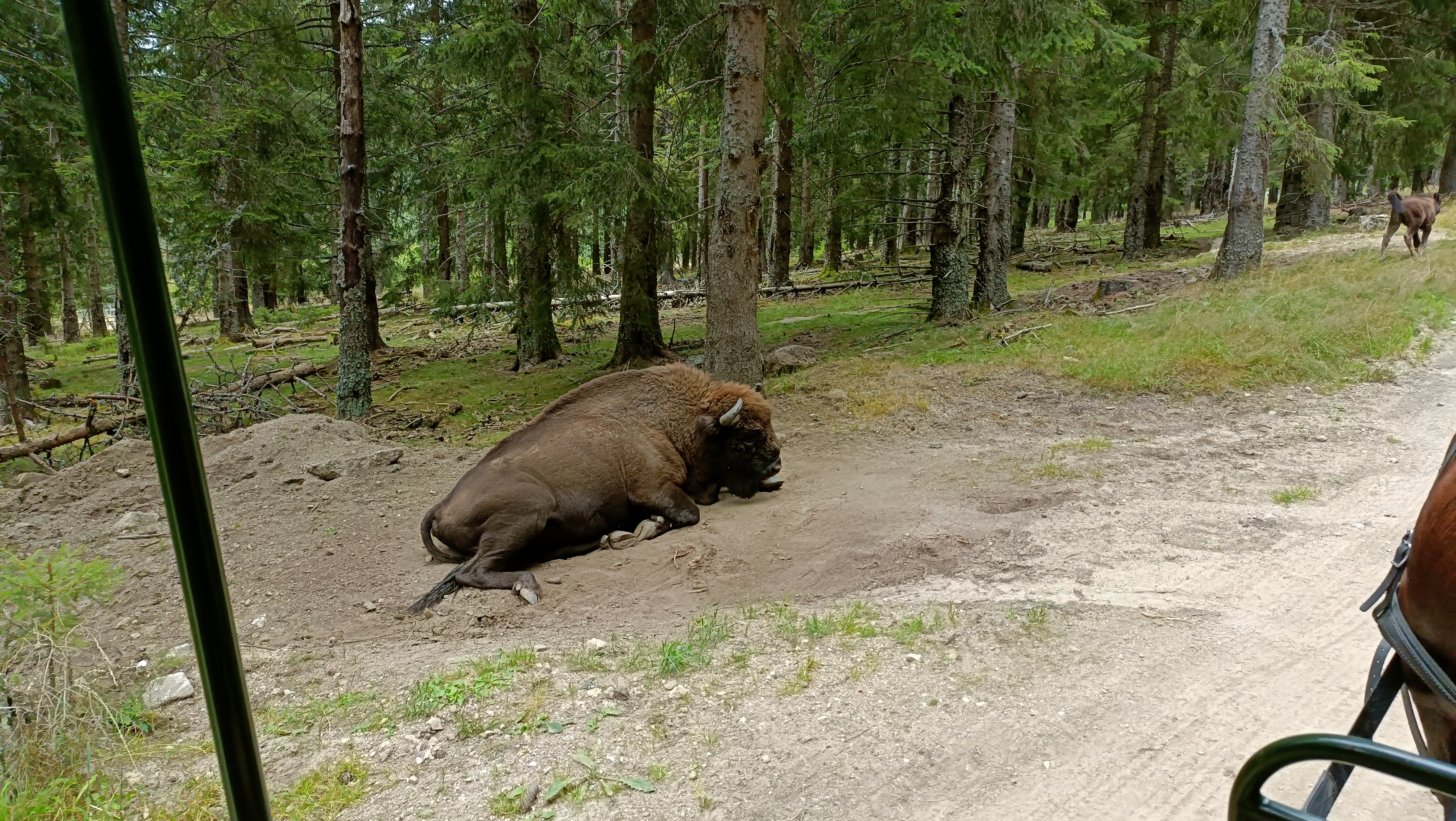 Photo n° 1 de l'avis de Florent.U fait le 10/08/2023 à 21:55