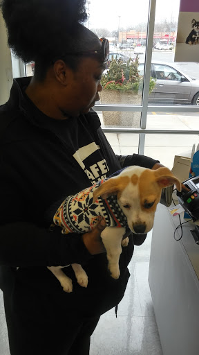 Pet Supply Store «Petco Animal Supplies», reviews and photos, 17930 Halsted St, Homewood, IL 60430, USA