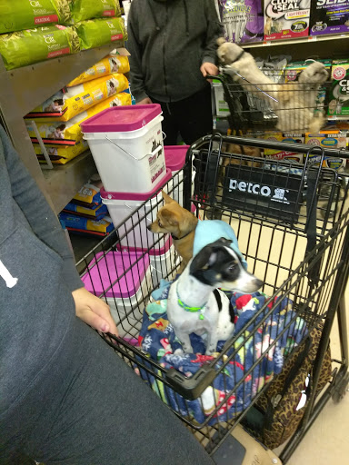 Pet Supply Store «Petco Animal Supplies», reviews and photos, 205 Washington St #11, Hudson, MA 01749, USA