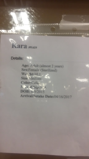 Pet Supply Store «PetSmart», reviews and photos, 160 Washington St #701, Rochester, NH 03839, USA