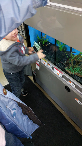 Pet Supply Store «Pet Supplies Plus», reviews and photos, 135-25 79th St, Howard Beach, NY 11414, USA