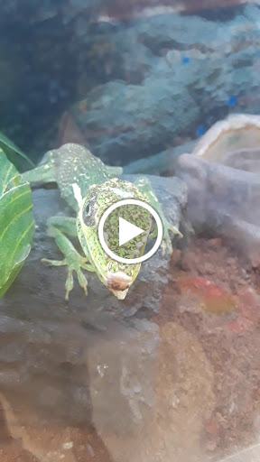 Pet Supply Store «Petco Animal Supplies», reviews and photos, 2765 Papermill Rd G-1, Reading, PA 19610, USA