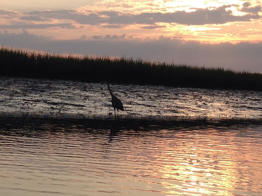 Outdoor Sports Store «Outside Brands», reviews and photos, The Plaza at Shelter Cove Shopping Center, Hilton Head Island, SC 29928, USA