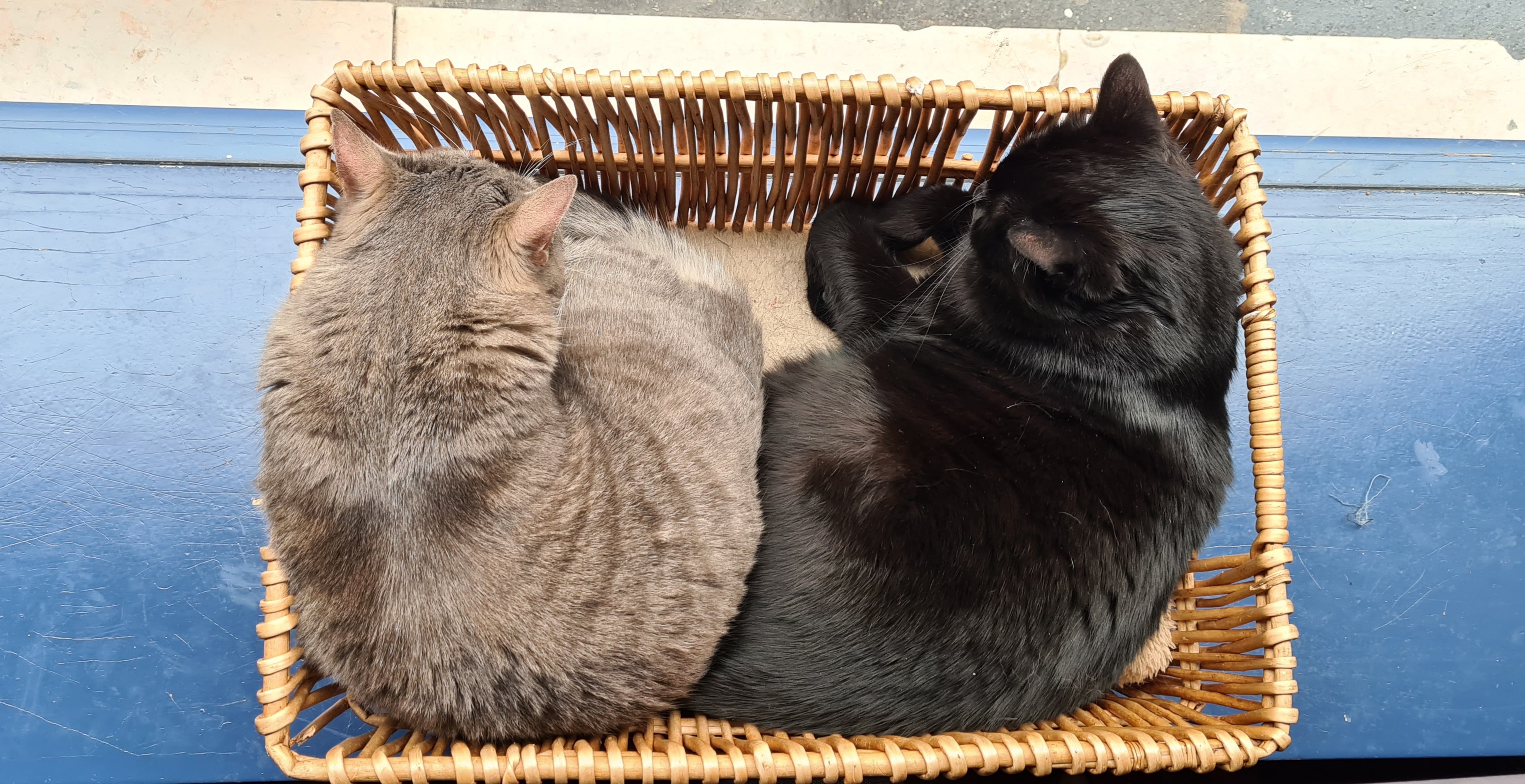 Photo n° 19 de l'avis de Valérie.u fait le 17/03/2022 à 16:10