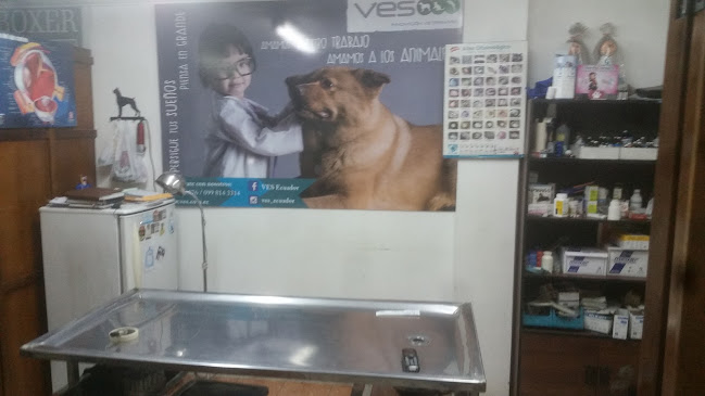 clinica veterinaria boxer - Quito