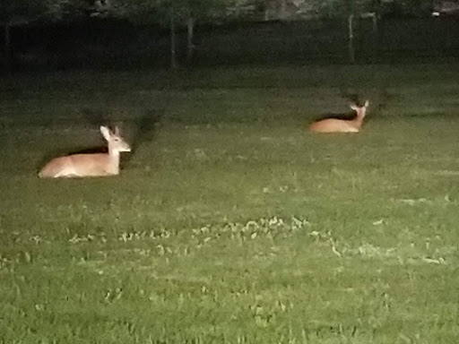 Park «Pascack Brook County Park», reviews and photos, 150 Emerson Rd, Westwood, NJ 07675, USA